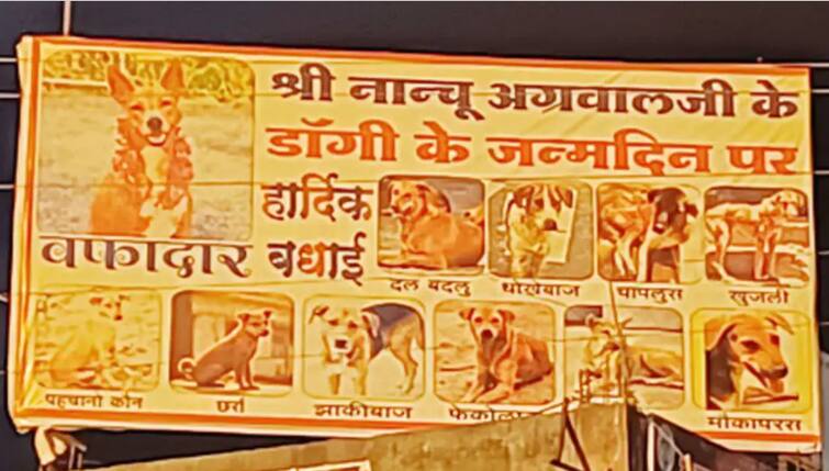 Dog birthday : owner applied flax on the birthday of the dog , also got the photo of the congratulatory dogs ਕੁੱਤੇ ਦੇ ਜਨਮ ਦਿਨ 'ਤੇ ਮਾਲਕ ਨੇ ਚੌਰਾਹੇ 'ਤੇ ਲਗਾ ਦਿੱਤਾ ਹੋਰਡਿੰਗ,  ਨਾਲ ਦੋਸਤਾਂ ਦੇ ਨਾਂ ਦੇਖ ਕੇ ਨਹੀਂ ਰੋਕ ਸਕੋਗੇ ਹਾਸਾ  