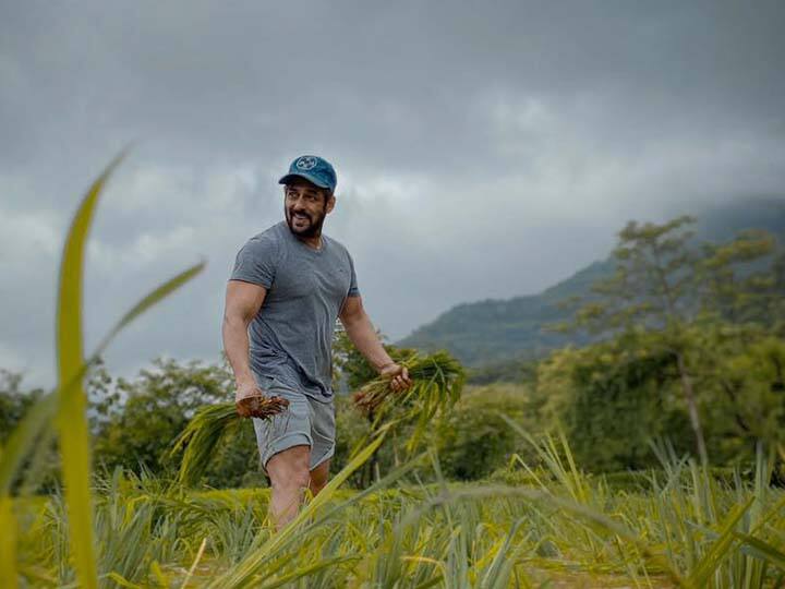 பண்ணைவீட்டில் நடிகர் சல்மான்கானை பாம்பு கடித்தது.. மருத்துவமனையின் சேர்க்கப்பட்டதால் ரசிகர்கள் அதிர்ச்சி..