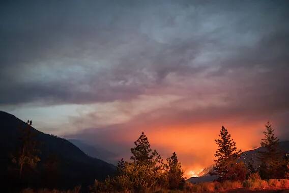 গত জুনে তীব্র গরমে কাহিল হয়ে পড়েছিল কানাডা। পারদ ছুঁয়েছিল ৪৬.১ ডিগ্রি সেন্টিগ্রেড। পাঁচদিনের তাপপ্রবাহে কানাডা পশ্চিমপ্রান্তের প্রদেশে ৫৬৯ জনের মৃত্যু হয়েছিল। (ছবি-গেটি)