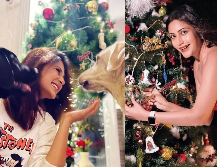 Christmas 2021: क्रिसमस के त्योहार की धूम पूरे देश में देखने को मिली. बॉलीवुड के साथ टीवी सेलेब्स ने भी इस त्योहार को बड़ी धूमधाम के साथ सेलिब्रेट किया. इस सेलिब्रेशन की कई तस्वीरें सामने आई हैं. जिसमें जेनिफर विंगेट (Jennifer Winget) से लेकर एरिका (Erica Fernandes) और सुरभि चांदना (Surbhi Chandna) तक ने अपने घर में क्रिसमस की सजावट की.