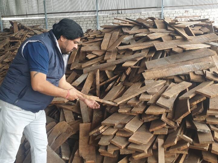 Jodhpur News: बंगाल से आ रही आम की लकड़ी में लगा कीड़ा, करोड़ों का हो सकता है नुकसान