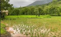 Salman Khan Panvel Farm House: पहाड़ और घने जंगल से घिरा है सलमान खान का फार्म हाउस, जिम से लेकर पूल तक हर सुविधा है मौजूद