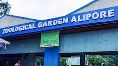 Kolkata: আলিপুর চিড়িয়াখানায় মহিলাদের উত্যক্তের অভিযোগ, পুলিশের জালে ৩ | Bangla News