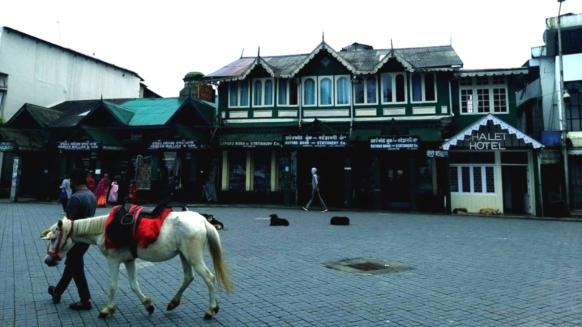 Darjeeling Weather Update: জাঁকিয়ে ঠান্ডায় কাঁপছে শৈলশহর, দেখে নিন দার্জিলিং-এর আবহাওয়া