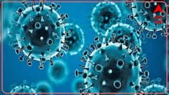 Akola जिल्ह्यातील ओमायक्रॉनचा शिरकाव, Dubai वरून आलेल्या तरुणीचा ओमायक्रॉन अहवाल पॉझिटिव्ह