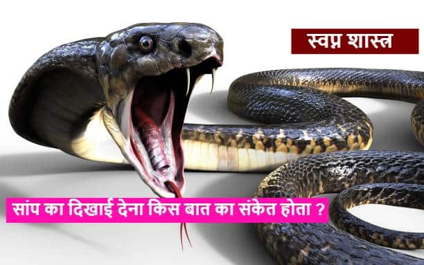 Dreamt of a snake What does it mean to have dreams about snakes sign of getting into legal matters Snake : सपने में सांप के डसने का क्या होता है मतलब, जान कर रह जाएंगे हैरान