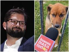 Chile President Gabriel Boric Dog: चिली के नए राष्ट्रपति का कुत्ता सोशल मीडिया पर करता है चैटिंग, मीडिया को देता है इंटरव्यू