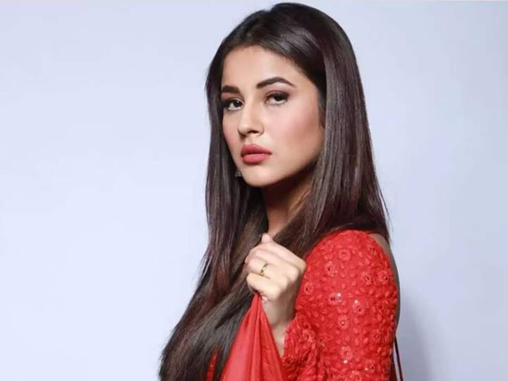 तीसरे नंबर पर है पंजाब की कैटरीना कैफ यानि शहनाज गिल. बता दें कि बिग बॉस 13 में हिस्सा लेने के बाद शहनाज गिल ने करोड़ों लोगों को अपना दीवाना बना लिया है.