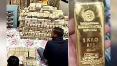 Tax Raids: টাকার 'গদি', আন্ডারগ্রাউন্ডে বিপুল চন্দন তেল! ১৪ দিনের বিচারবিভাগীয় হেফাজতে পীযূষ জৈন