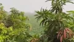 આપણી ખબર: રાજ્યમાં ફરી કમૌસમી વરસાદના કારણે ખેડૂતો મુકાયા સંકટમાં, જુઓ ગુજરાતી ન્યુઝ