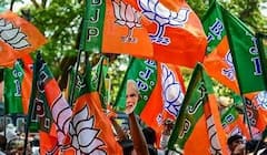 Chandigarh Municipal Election: চণ্ডীগড়ে পুরভোটে ধাক্কা বিজেপির, হার মেয়র-ডেপুটি মেয়রের। Bangla News