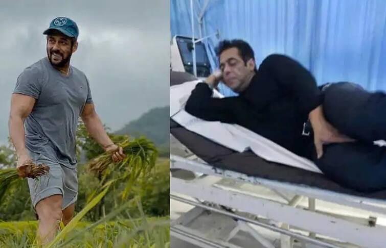 salman khan reveals snake bites him three times salman khan tells the whole incident સલમાનને ક્યો સાપ કરડ્યો હતો ? અત્યાર સુધી ભાઈજાનને કરડી ચૂક્યા છે કેટલા પ્રકારના સાપ ?