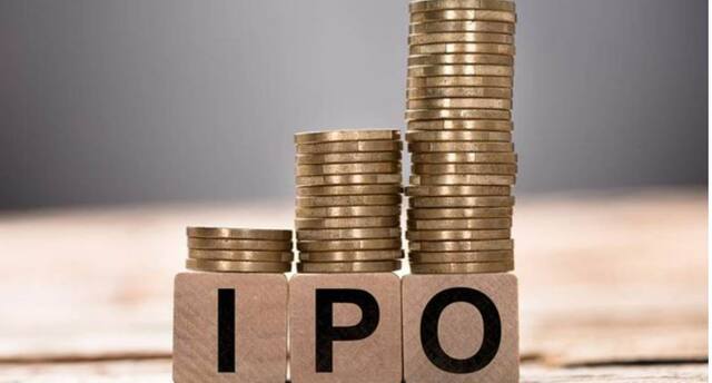 अर्थसंकल्पानंतर लवकरच येणार या 'फार्मा' कंपनीचा IPO, पाच हजार कोटी रुपये उभारण्याची तयारी