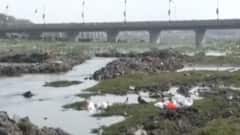 કેન્દ્ર સરકારે શિયાળુ સત્રમાં ગુજરાતની નદીઓ વિશે શું કહ્યું?, જુઓ ગુજરાતી ન્યૂઝ