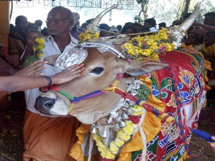 Pongal 2022 | நெருங்கும் பொங்கல் பண்டிகை.. மாடுகளுக்கு அமைக்கப்பட்டுள்ள தேனி கோவிலின் சிறப்பு தெரியுமா?