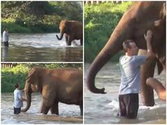 Watch: अपने केयरटेकर से मिलने पर भावुक हुआ हाथियों का दल, बाहें फैलाकर किया स्वागत