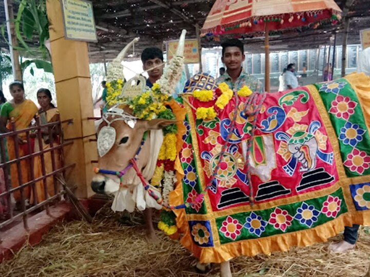 Pongal 2024: மாடுகளுக்கு அமைக்கப்பட்டுள்ள தேனி கோயிலின் சிறப்புகள் தெரியுமா..?