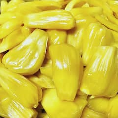 Benefits of Jackfruit : পুষ্টির পাওয়ার-হাউস, সুস্বাদু কাঁঠালের উপকারিতা জানলে অবাক হবেন