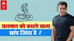Salman Khan को 3 बार काटने वाले सांप का क्या हुआ ? सलमान ने बताया पूरा 'सांप कांड'