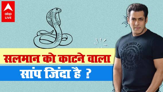 Salman Khan को 3 बार काटने वाले सांप का क्या हुआ ? सलमान ने बताया पूरा 'सांप कांड'