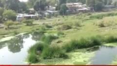 પંચમહાલઃ મેસરી નદી અસ્તિત્વ ગુમાવવાની આરે, નદી ગંદકીથી ખદબદી રહી છે