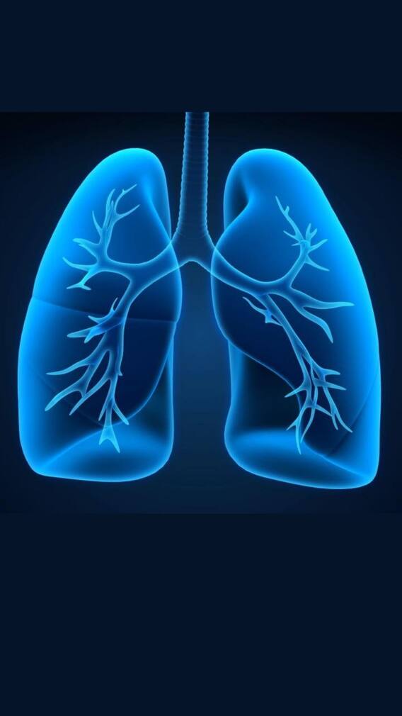 ফুসফুস সুস্থ রাখতে যেগুলো অবশ্যই খাবেন