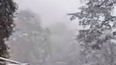 Uttarakhand Snowfall: नए साल से पहले बर्फ की चादर से ढके पहाड़, सैलानियों के खिले चेहरे| Hindi News