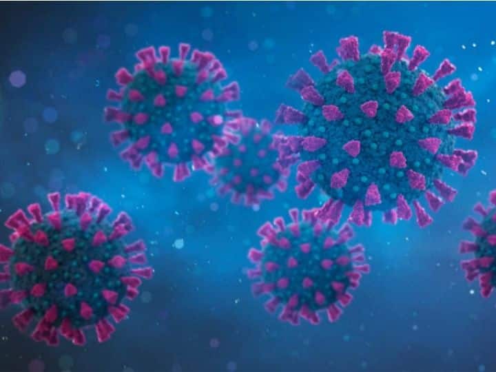 Covid Can Linger In Body For Months, Spread To Heart And Brain Within Days: US Study Covid Can Linger In Body For Months, Spread To Heart And Brain Within Days: US Study