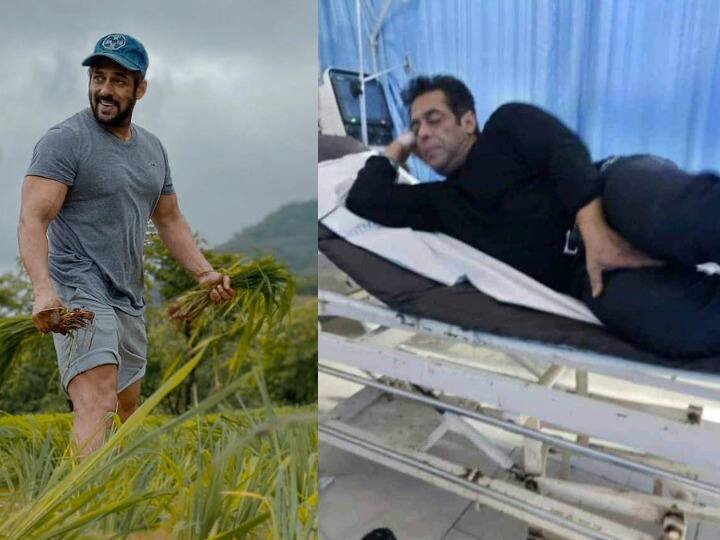 Salman Khan reveals snake bites him three times salman khan tells the whole incident ANN Exclusive: बर्थडे पर Salman Khan बोले- जहरीले सांप ने एक नहीं तीन बार काटा, दबंग खान ने सुनाई दास्तां- हाथ तक कैसे पहुंचा सांप