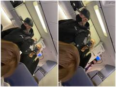 Watch: फ्लाइट में पार्टनर के साथ किया जानवरों जैसा व्यवहार, गले में पट्टा बांधकर पहुंचा शख्स