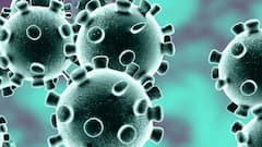Coronavirus India Update: Omicron tally stands on 578