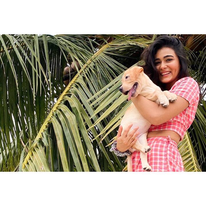 షాలిని పాండే  (Image Credit: Shalini Pandey/ Instagram)