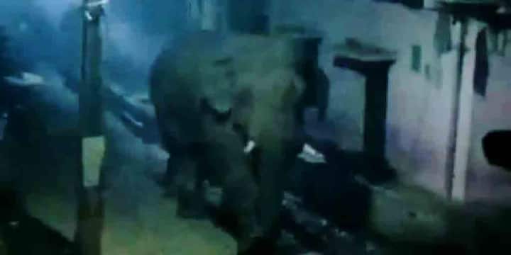 Last-minute Brake by Train Driver Saves Elephant's Life in Bengal, Watch Heart-stopping Video Elephant Rescue :  ట్రాక్‌పై ఎక్స్ ప్రెస్ , సడెన్‌గా ఏనుగు ఎంట్రీ -  ఆ తర్వాతేం జరిగిందంటే ?