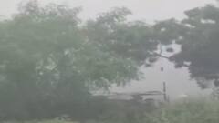 ઉત્તર ગુજરાતમાં માવઠાની અસર, ખેડૂતો મુકાયા ચિંતામાં, જુઓ ગુજરાતી ન્યૂઝ