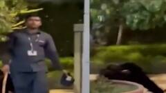 સુરતઃ કલરટેક્ષ કંપનીના માલિકના પરિવારના સભ્યે યુવતી સાથે કર્યું ગેરવર્તન, જુઓ ગુજરાતી ન્યૂઝ