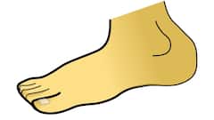 Winter Care: ঘরোয়া পদ্ধতিতে সারিয়ে ফেলুন ফাটা গোড়ালি