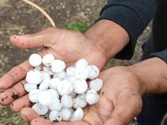 Jabalpur News: बारिश और ओले ने बदला मौसम का मिजाज, दिन में छाया अंधेरा, जानें कहां कितनी हुई बारिश