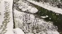 J&K: Cold wave & snowfall disrupts normal life