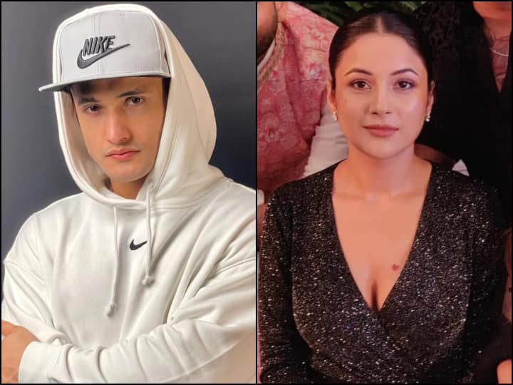 Asim Riaz Didn’t Take A Dig At Shehnaaz Gill, ‘Bigg Boss 13’ Finalist Clarifies After Getting Trolled Asim Riaz Didn’t Take A Dig At Shehnaaz Gill, ‘Bigg Boss 13’ Finalist Clarifies After Getting Trolled