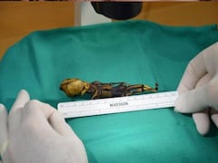 Six Inch Skeleton: ఈ అస్థిపంజరం సైజు 6 ఇంచులే.. మనిషా? ఏలియనా?.. DNA రిపోర్ట్ చూసి షాక్!