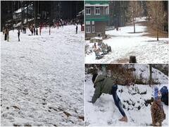 J&K: सफेद बर्फ की चादर से ढका जम्मू कश्मीर, पटनीटॉप में भी टूरिस्टों की हुई चांदी, तस्वीरों में देखें  बर्फबारी का अद्भुत नजारा