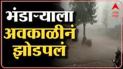 Gondia Rain Loss : कडाक्याच्या थंडीनंतर अवकाळी पाऊस, गारपिटीमुळे शेतकऱ्यांच्या डोळ्यात पाणी ABP Majh