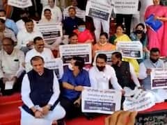 BJP's Nitesh Rane 'Meows' At Aaditya Thackeray As He Enters Maharashtra Assembly | Watch Video