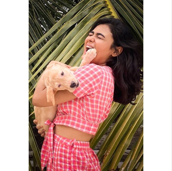 షాలిని పాండే  (Image Credit: Shalini Pandey/ Instagram)