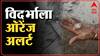 Vidarbha Nagpur Rain : विदर्भात अवकाळी पाऊस, नागपूरमध्ये गारांसह पाऊस दाखल  ABP Majha