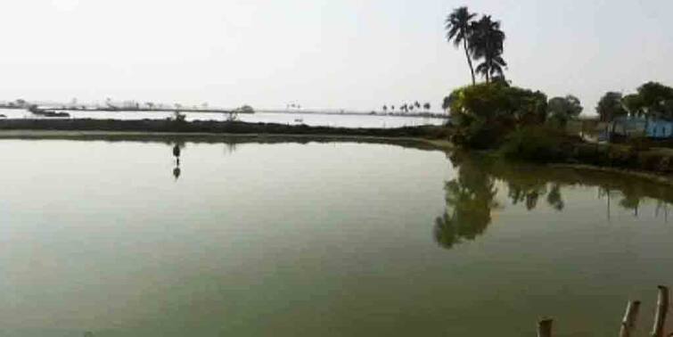 North 24 paragana fishery lease controversy aims TMC North 24 Paragana: ভেড়ি থেকে আয়ের টাকা বণ্টনে দলবাজি, অভিযোগের তির তৃণমূলের দিকে