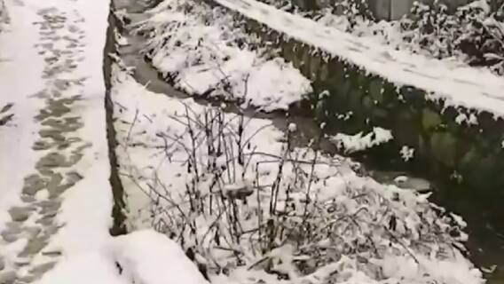 Detailed news stories of the day | Namaste Bharat (28 December 2021)