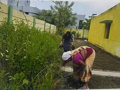 Durg Anganwadi News: दुर्ग में आंगनबाड़ियों के बंजर आंगन में लगी पोषण वाटिकाओं से पोषित हो रहा बच्चों का भविष्य