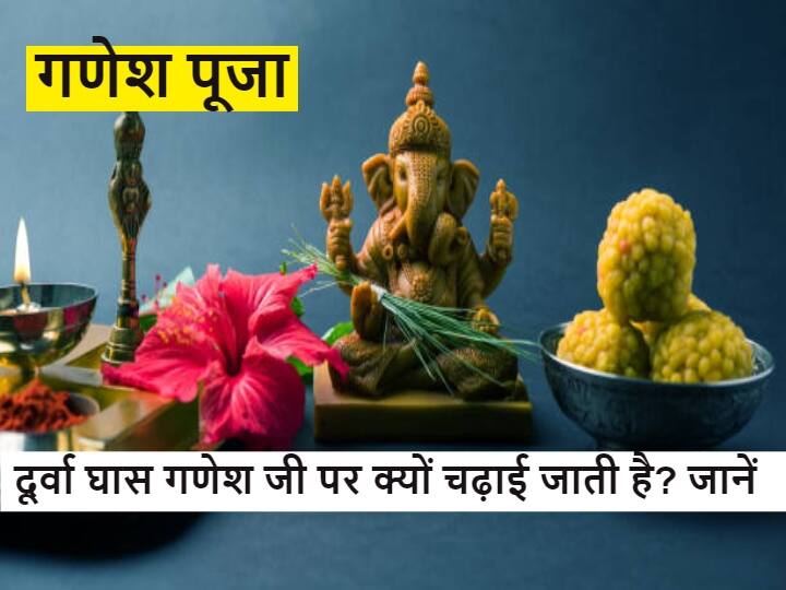 Ganesh Puja On Wednesday 29 December 2021 Panchang Durva grass is beneficial giver of wisdom will make you rich Ganesh : बुधवार के दिन 'विघ्नहर्ता' को इस एक चीज से करें प्रसन्न, बुद्धि के दाता कर देंगे मालामाल