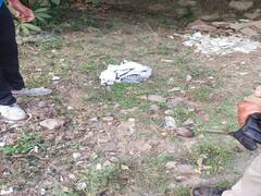 Rajasthan News: उदयपुर में मानवता हुई शर्मसार, कड़ाके की ठंड में सड़क किनारे मिली नवजात बच्ची, जानिए फिर क्या हुआ